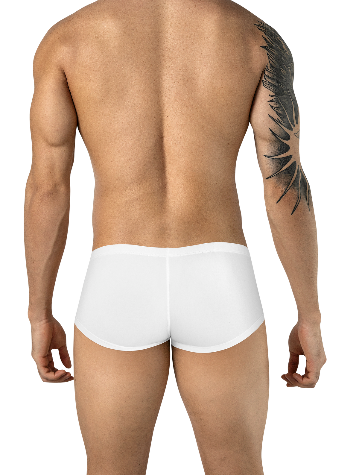 Clever Latin Boxer - Blanco