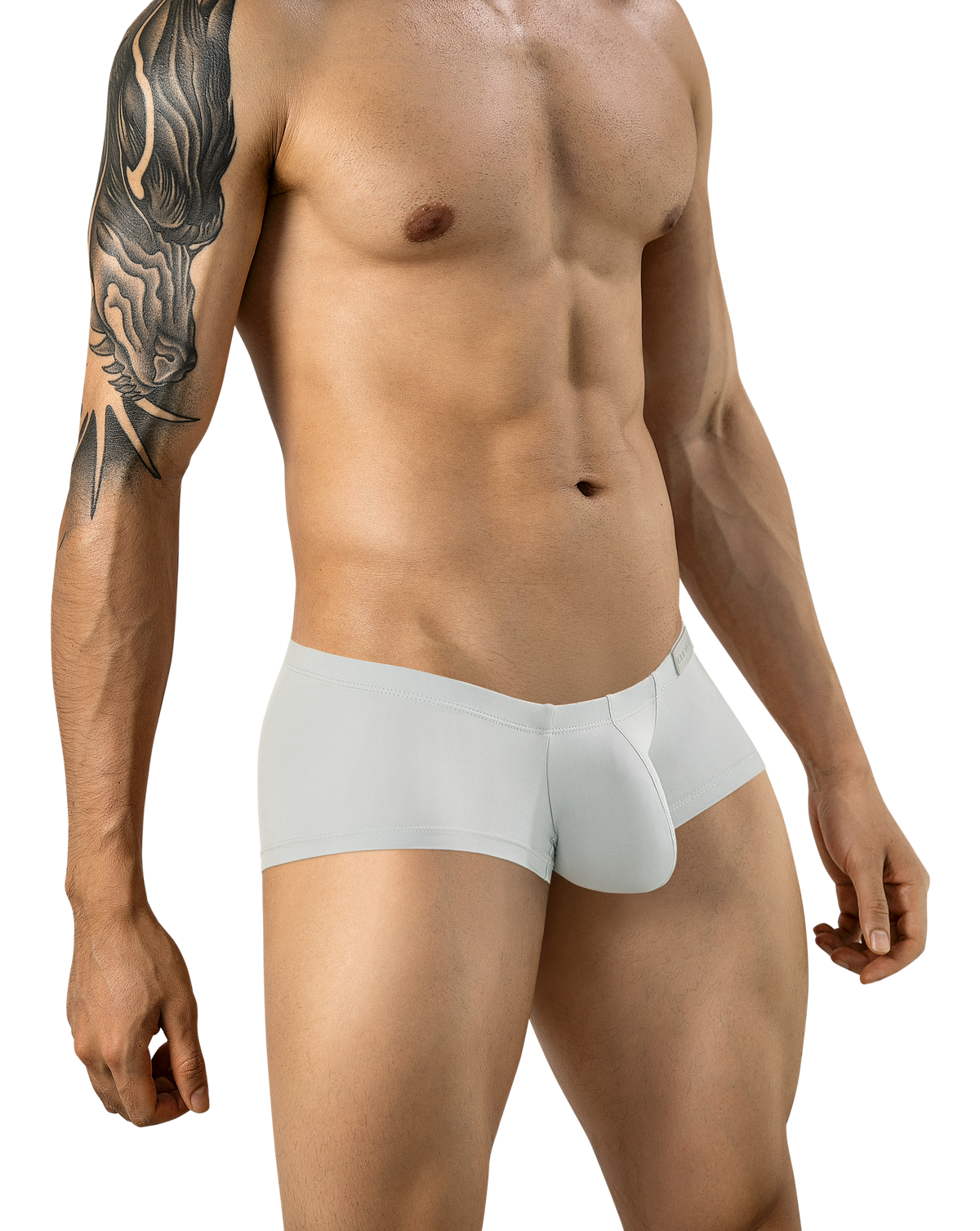 Clever Latin Boxer - Gris