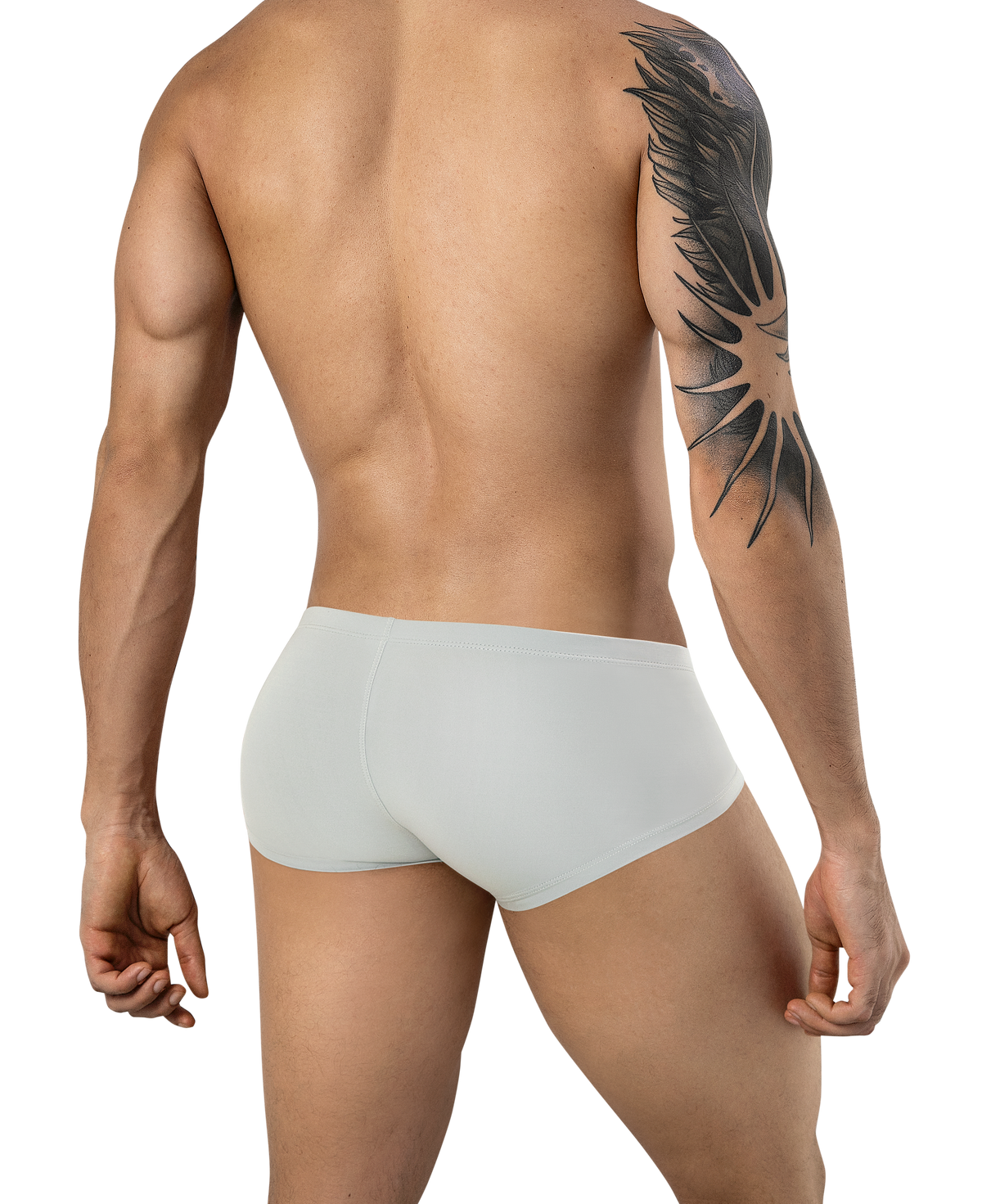 Clever Latin Boxer - Gris