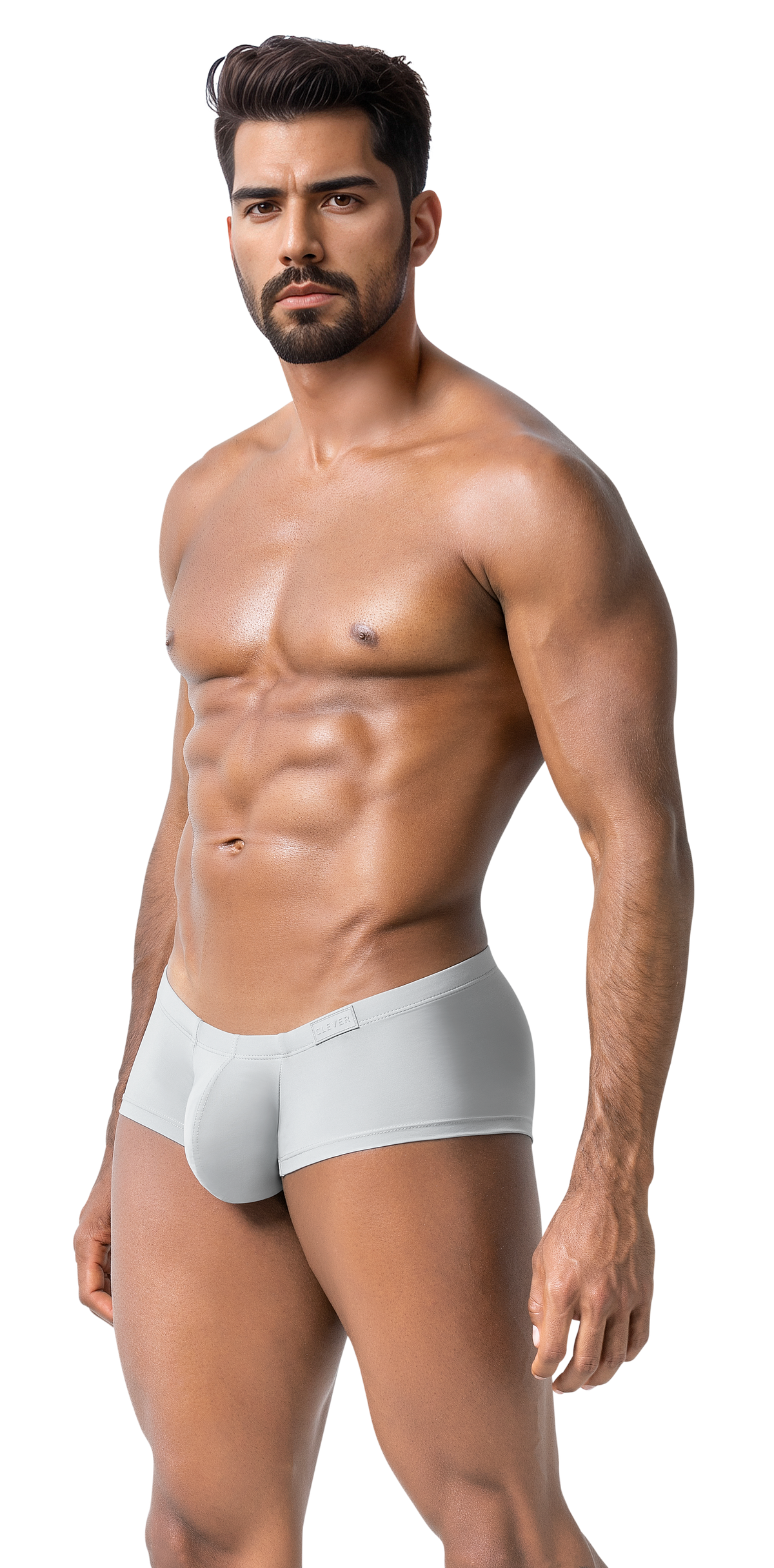 Clever Latin Boxer - Gris