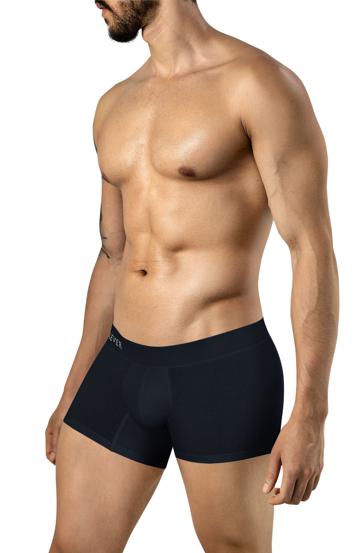 Clever Caribbean Boxer - Negro